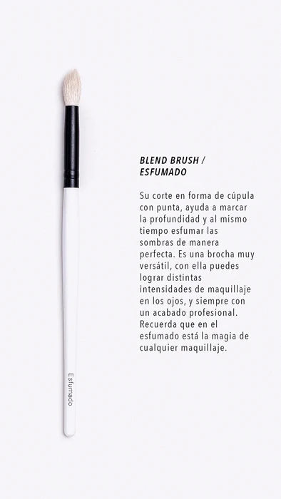 Fundamental brushes collection - Set Brochas Fundamentales - Maquillaje Perfecto