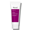 AHA/BHA Exfoliating Cleanser